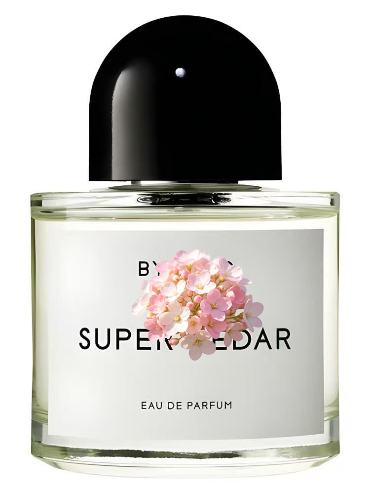 Eau de Parfum Unisex 100ml 3.4 - Perfume Floral Fragrance recensione e prezzo